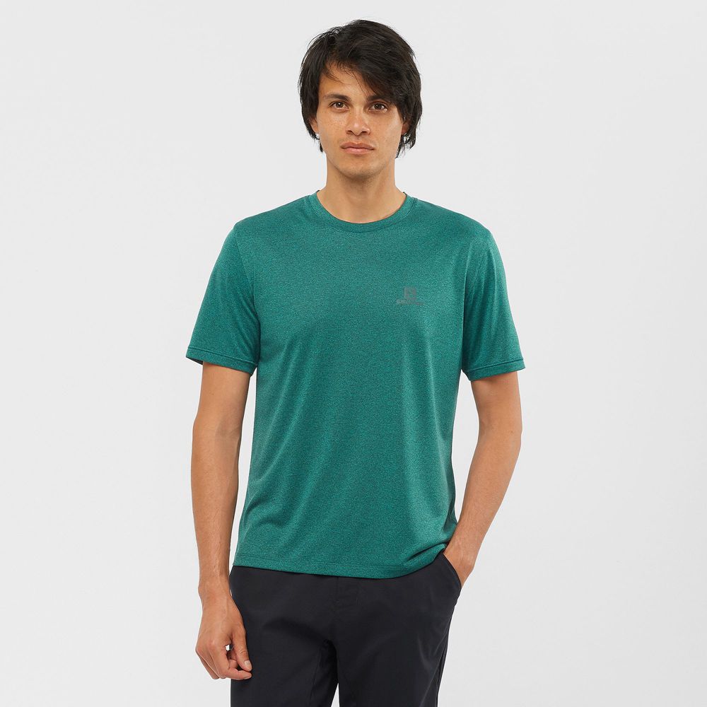 Salomon EXPLORE M Camisetas Hombre - Verde - Colombia (89034-NMRO)